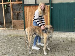 25-10-13 13-52-57 7583